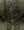 Amsterdam Primaloft Jacket Black Forest Green
